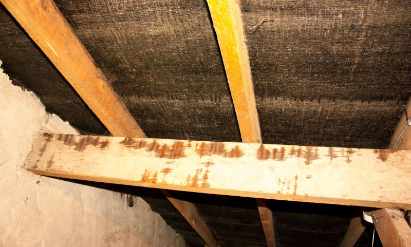 Ceiling Leak Repair Service in Alpharetta, GA